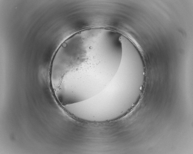 X0000115020810200911161444