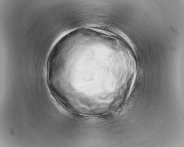 X0000115020811200911161444