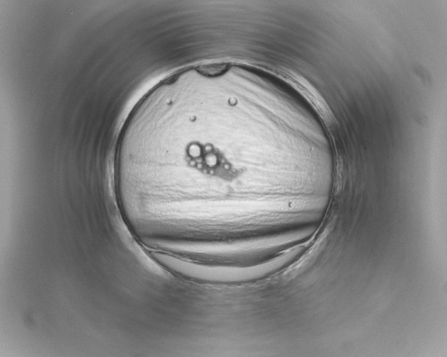 X0000115020812200911161444