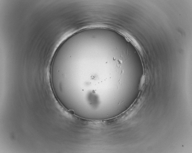 X0000115020813200911161444