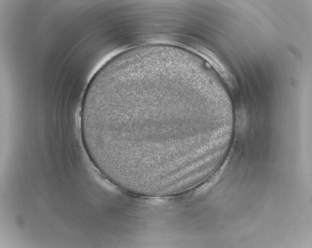 X0000115020814200911161444