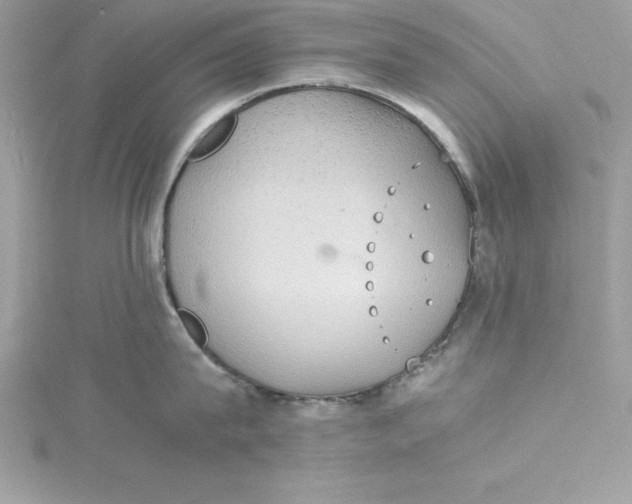 X0000115020815200911161444