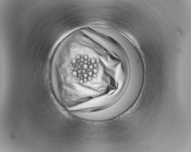 X0000115020816200911161444