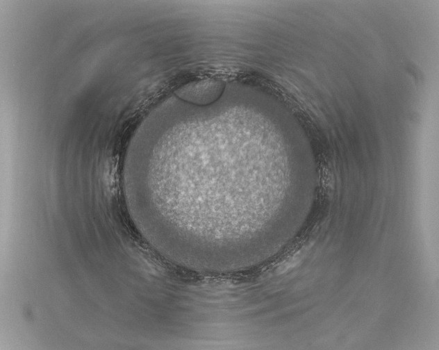 X0000115020818200911161444