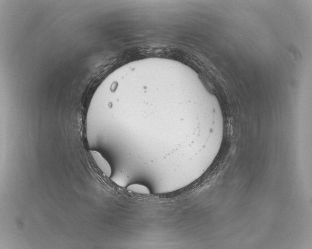 X0000115020820200911161444