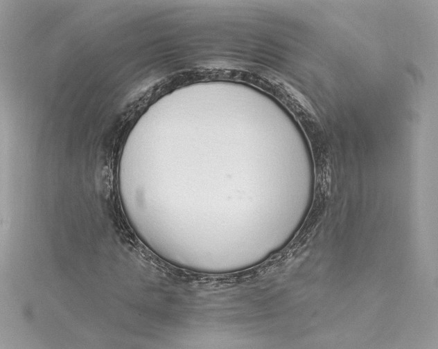 X0000115020821200911161444