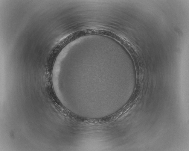 X0000115020822200911161444