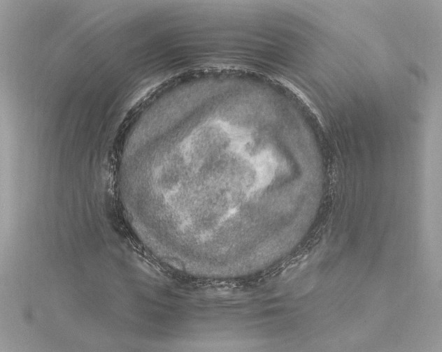 X0000115020823200911161444