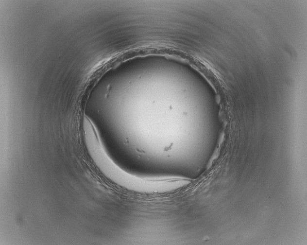 X0000115020824200911161444