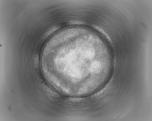 X0000115020825200911161444