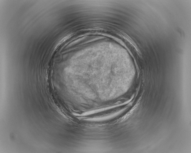 X0000115020826200911161444