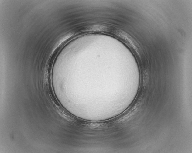 X0000115020827200911161444