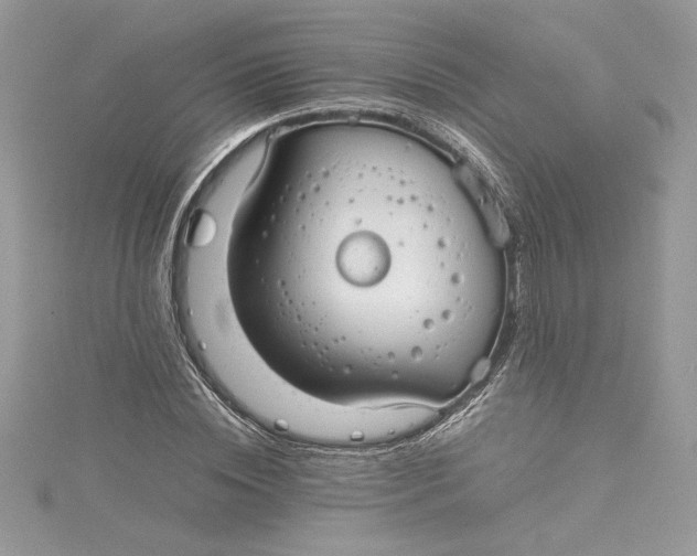 X0000115020828200911161444