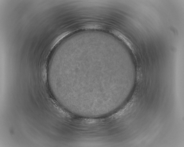 X0000115020829200911161444