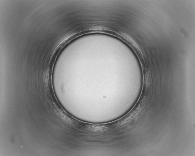 X0000115020831200911161444