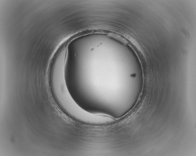 X0000115020832200911161444