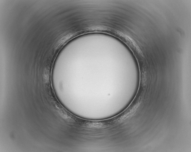 X0000115020833200911161444