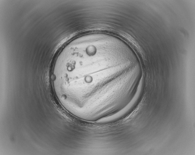 X0000115020834200911161444