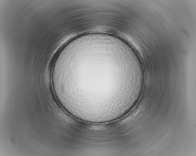 X0000115020835200911161444