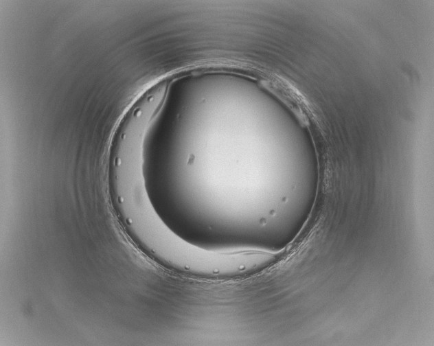 X0000115020836200911161444