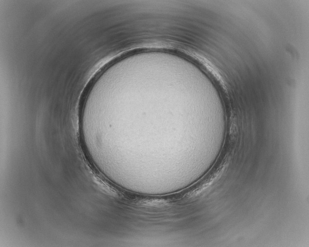 X0000115020837200911161444