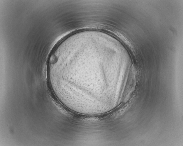 X0000115020838200911161444