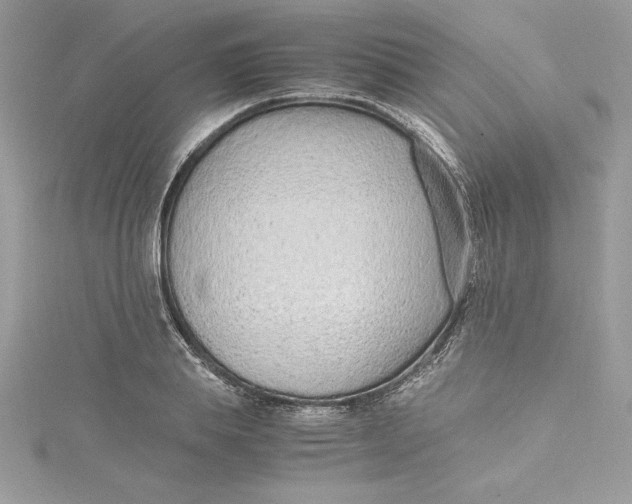 X0000115020839200911161444