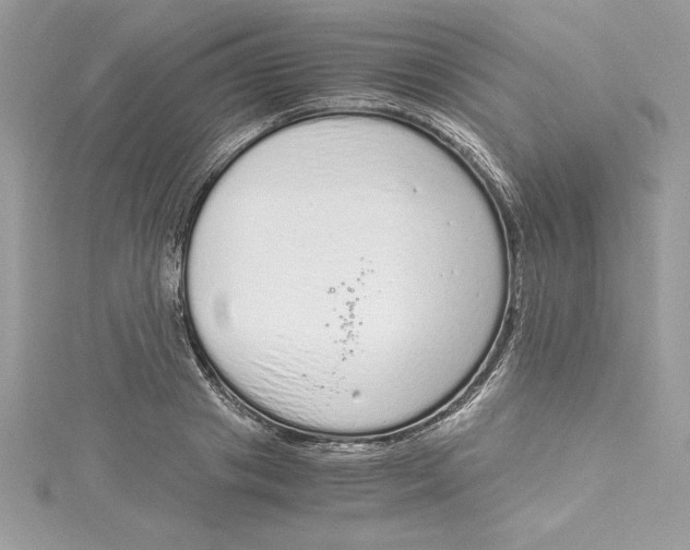 X0000115020841200911161444