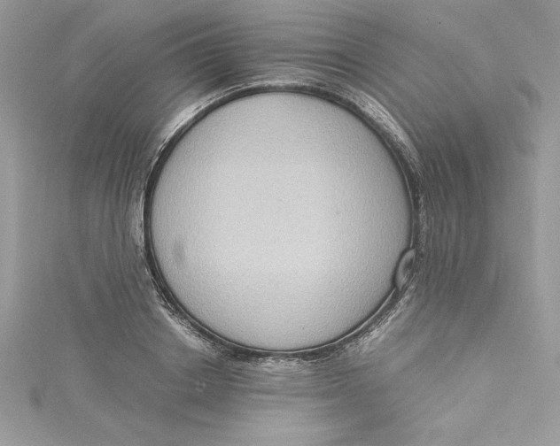 X0000115020842200911161444