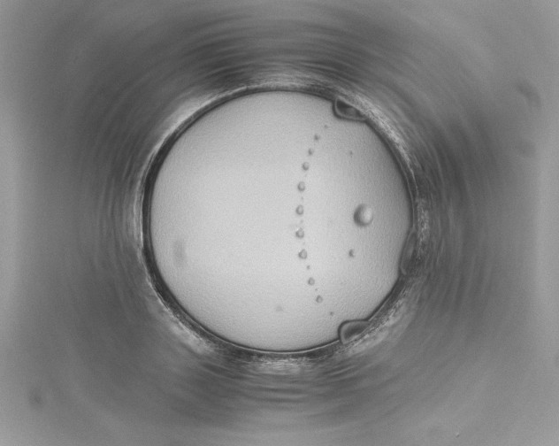 X0000115020843200911161444