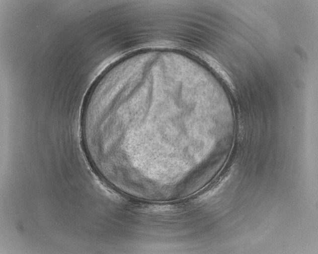 X0000115020845200911161444