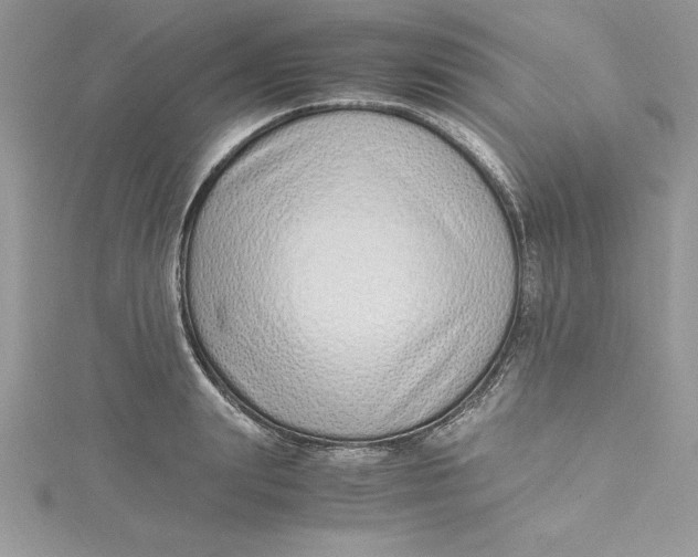 X0000115020847200911161444