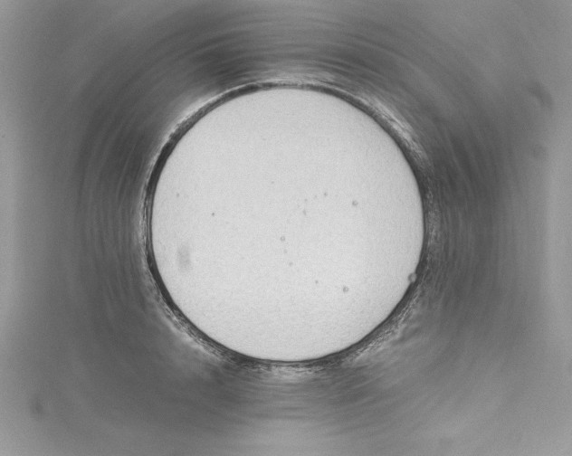 X0000115020848200911161444