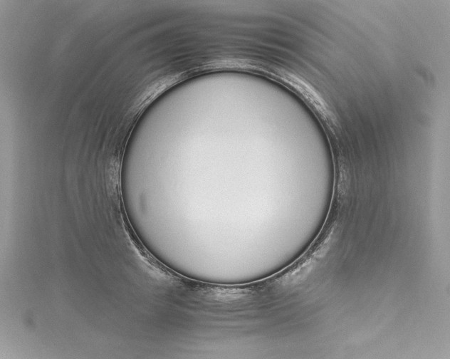 X0000115020849200911161444