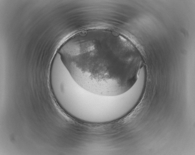 X0000115020850200911161444