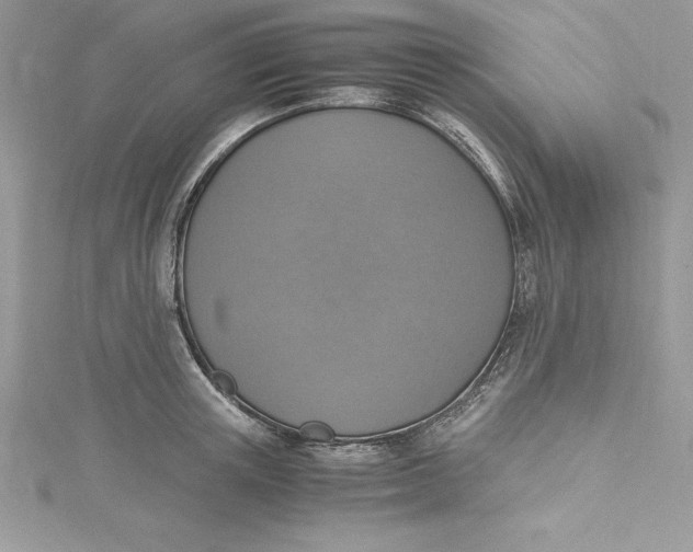 X0000115020851200911161444