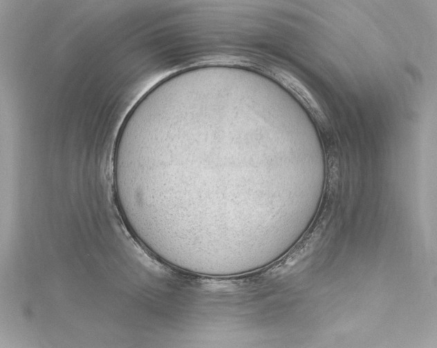 X0000115020852200911161444