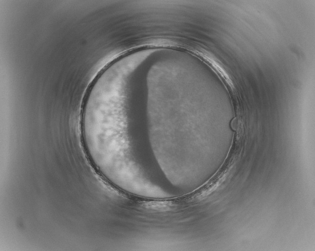 X0000115020853200911161444