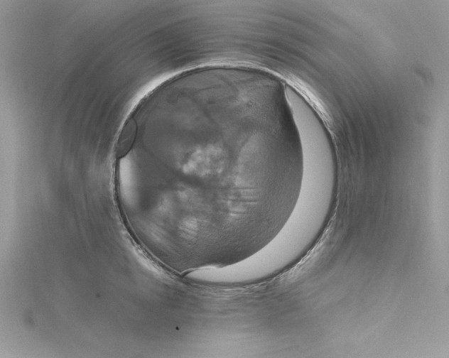 X0000115020854200911161444