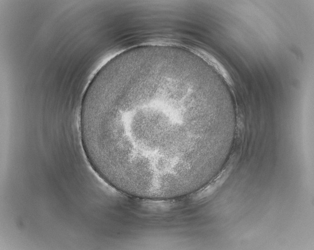 X0000115020855200911161444