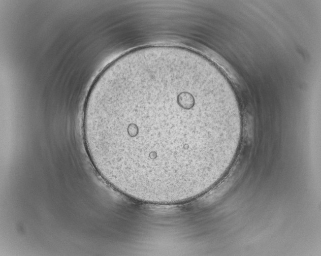 X0000115020856200911161444