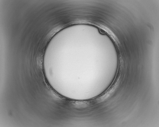 X0000115020857200911161444