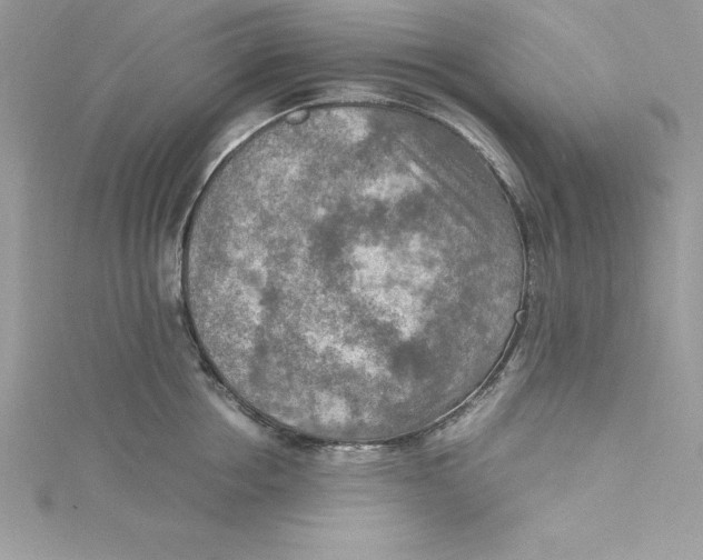 X0000115020858200911161444