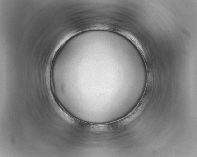 X0000115020859200911161444