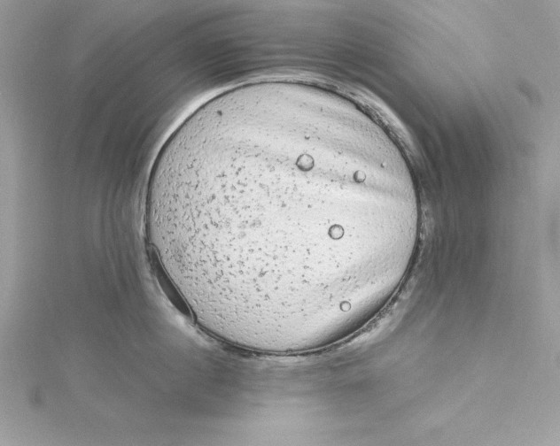 X0000115020860200911161444