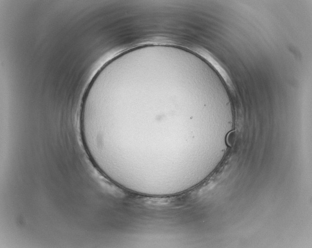 X0000115020861200911161444