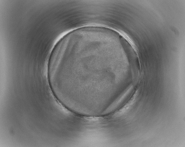 X0000115020862200911161444