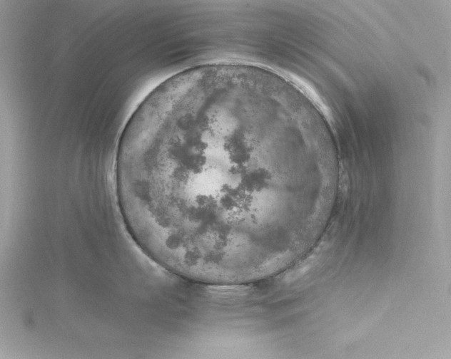 X0000115020863200911161444