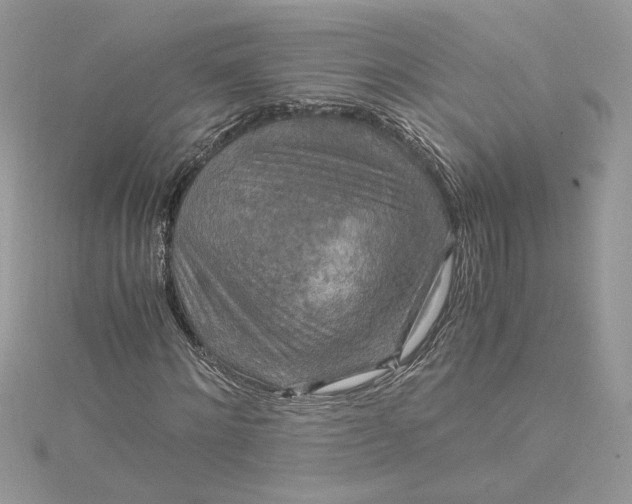 X0000115020868200911161444