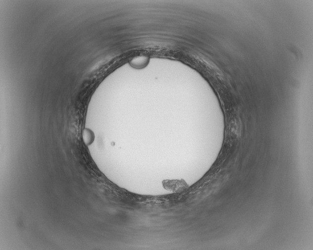 X0000115020869200911161444